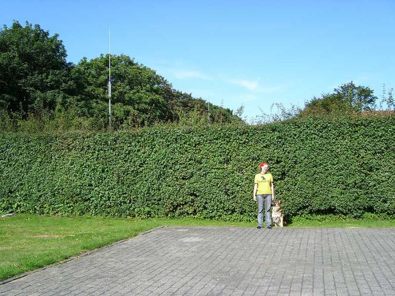 Sarah med hund og den høje bøgehæk