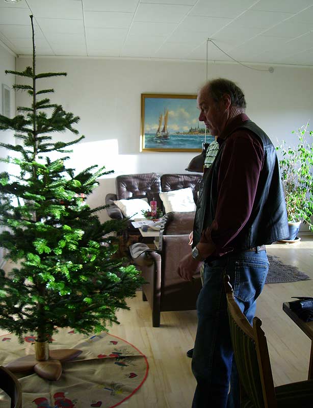 Inspektion af træet