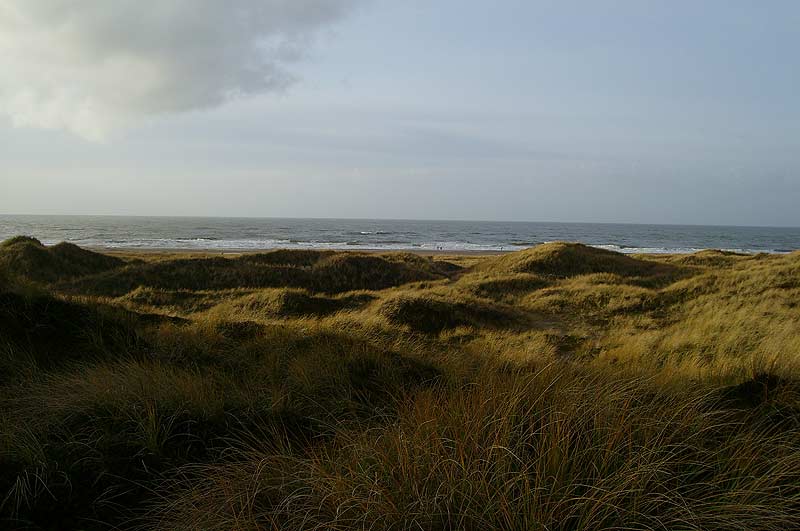 Klitterne ved Hvide Sande